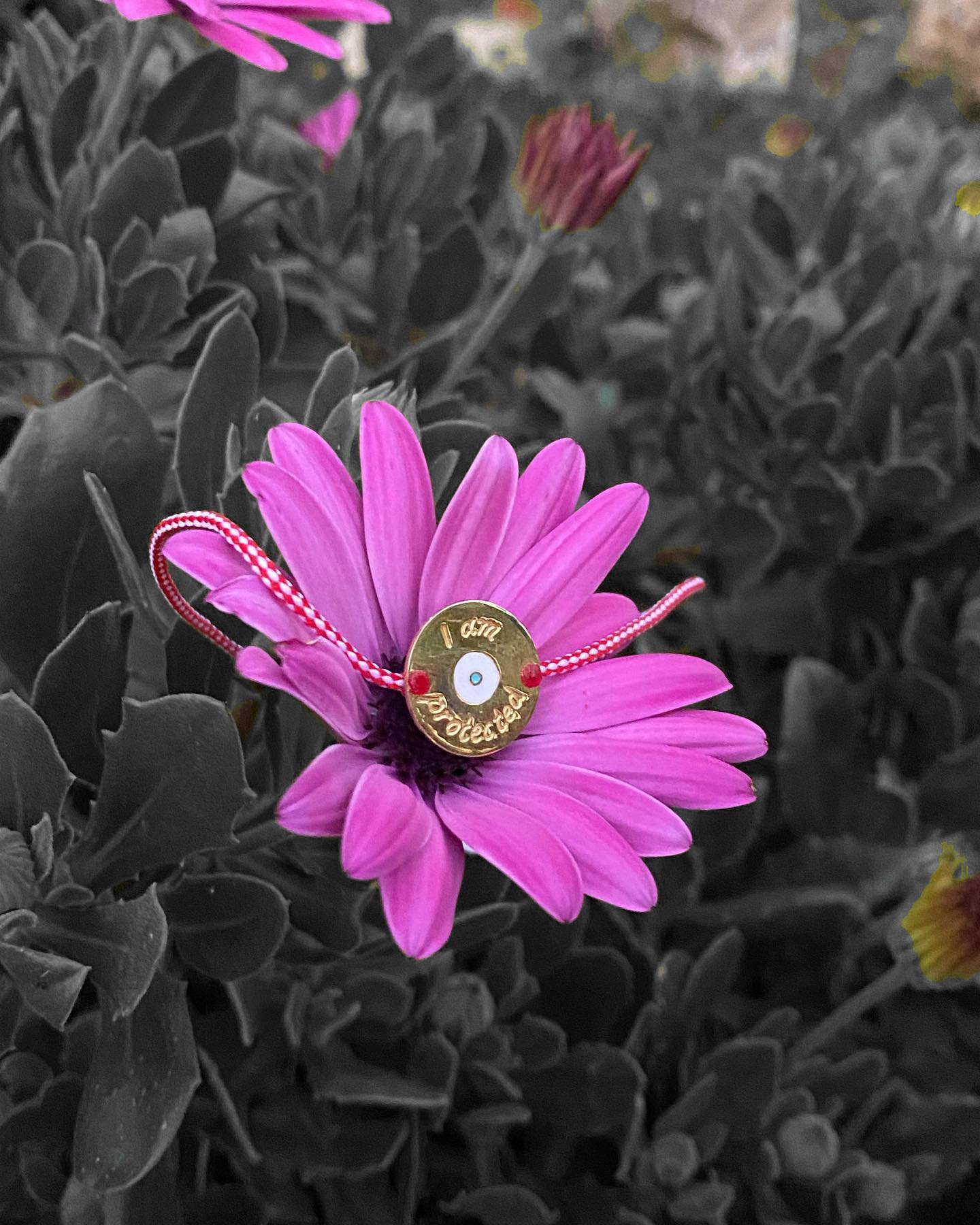 Όσο ανθίζουν τα λουλούδια, 
ανθίζει και η ελπίδα… 🙏🏼 
.
#flowerphotography #blooming_petals #hopequotes #march #bracelets #goldplatedjewelry #jewelry #handmadejewelry #greekdesigners #funkyjewel_fj